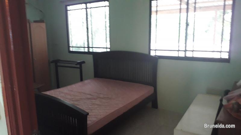 House For Rent at Kampung Danaun - image 6
