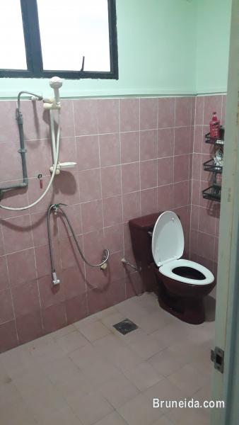 House For Rent at Kampung Danaun - image 9