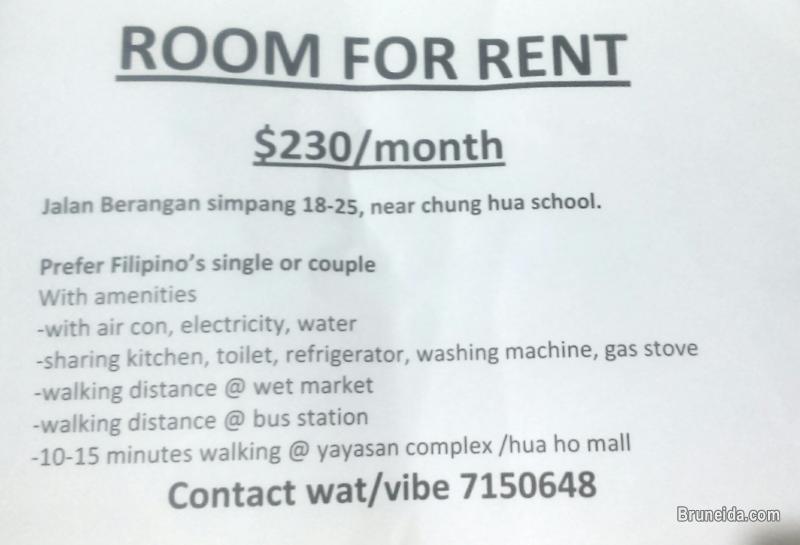 looking for roommates/250 monthly - image 1