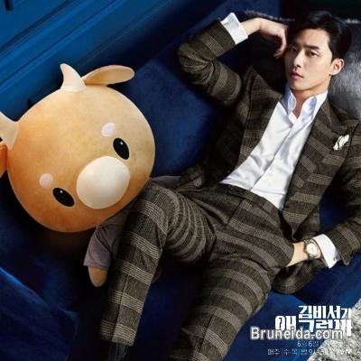 Order Now - Hard Caw Pet Doll Plush Korean Drama - image 1