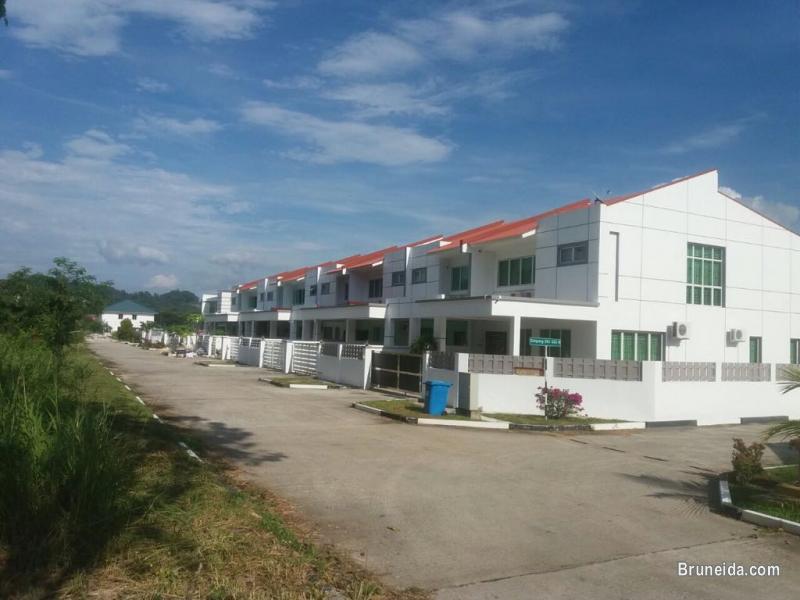 House Rental - image 1