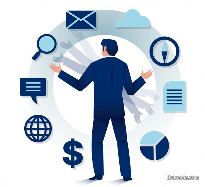 WELLNESS ADVISOR - image 1