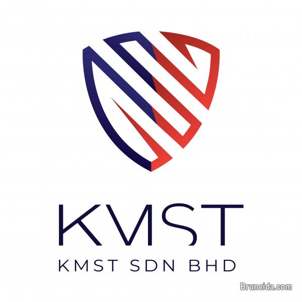 Mini Van Driver - image 1