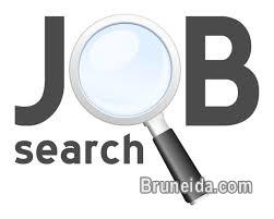 Seeking for job Junior/Assistant Quantity Surveyor - image 1