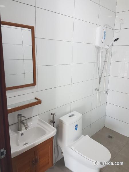 Terrace house for Rent - image 5