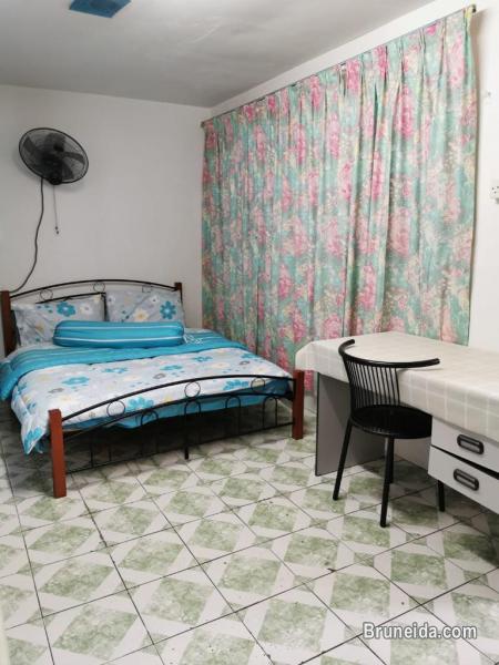 Kiarong Suite for Rent - image 6