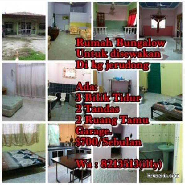 House For Rent - image 1