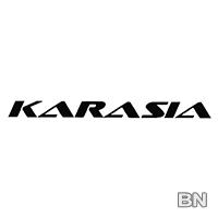 Sales Executive (Karasia Enterprise) - Brunei Muara - image 1