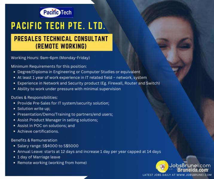 Presales Technical Consultant (Remote working) - image 2