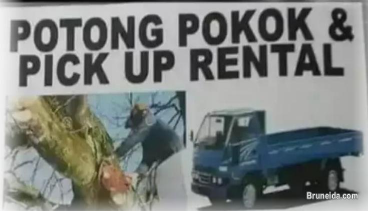 Aaa pick-up rental - image 2