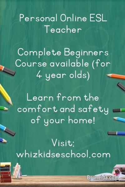 PRIVATE ENGLISH TEACHER - image 1