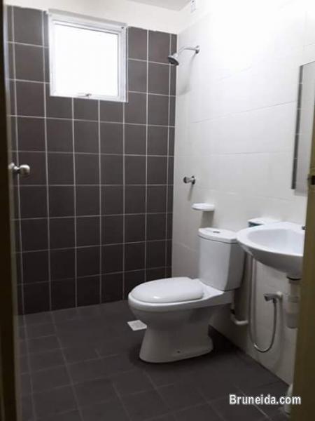 Room For Rent - image 5