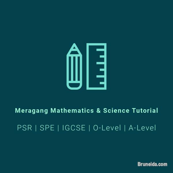 Offering High Quality Mathematics Tutoring (O-Level and A-Level) - image 2