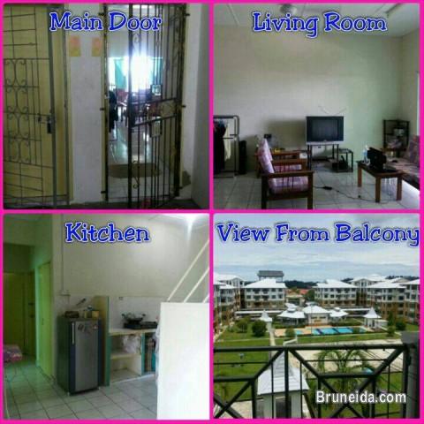 Delta Height, Bundusan, Penampang, Sabah, Malaysia - image 2