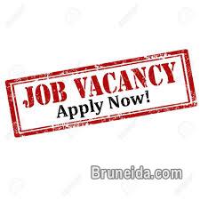 Vacancy for Interior Design/ Sales Designer Position - image 1