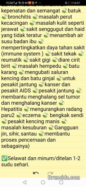 Minyak Minum Syifa Habbastussauda - image 3