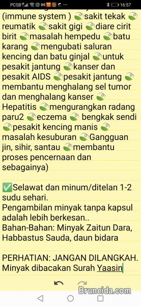 Minyak Minum Syifa Habbastussauda - image 4