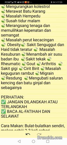 Makjun Warisan - image 3