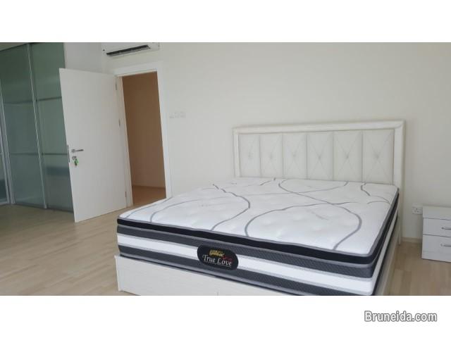 THREE-BEDROOMS, ONE RIVERSIDE APARTMENT - image 4