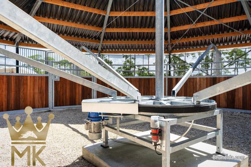 Horsewalker - image 10