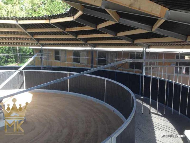 Horsewalker - image 11