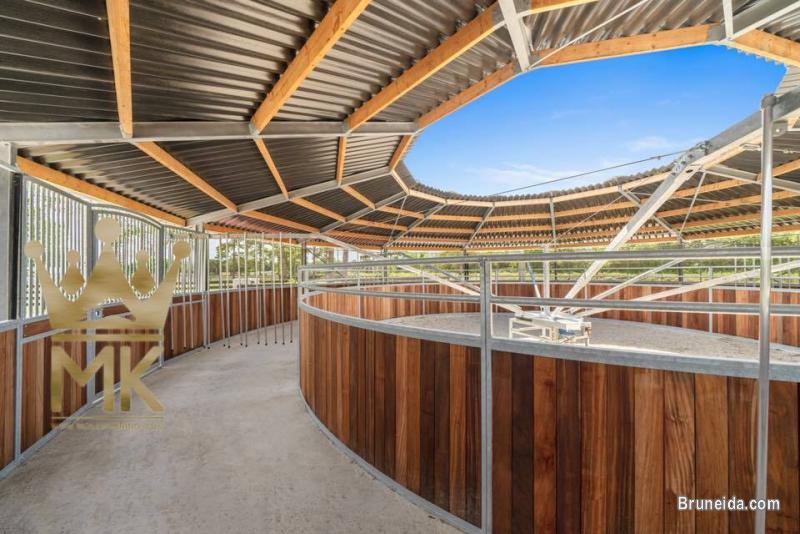 Horsewalker - image 12