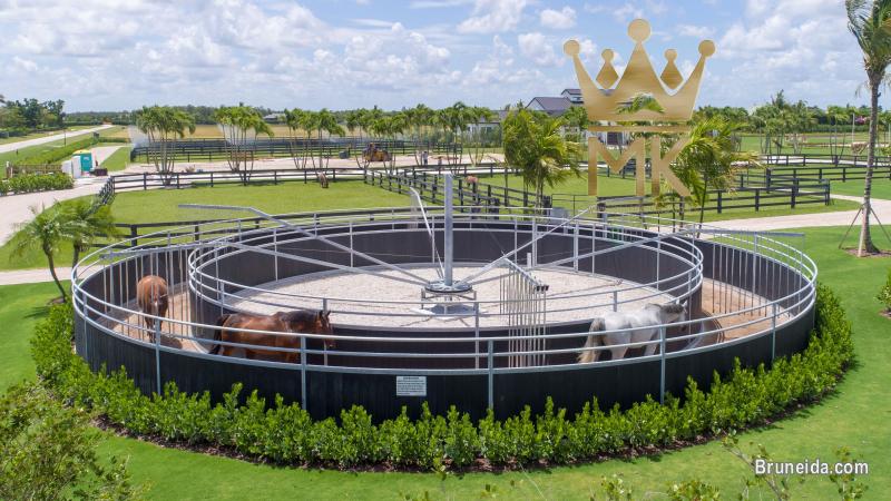 Horsewalker - image 2