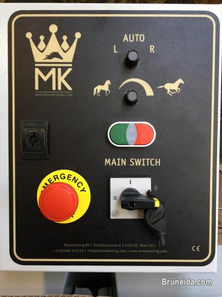 Horsewalker - image 3