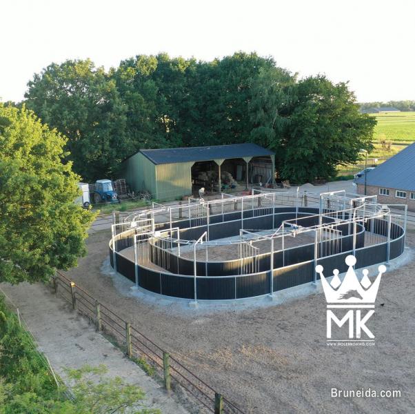 Horsewalker - image 4