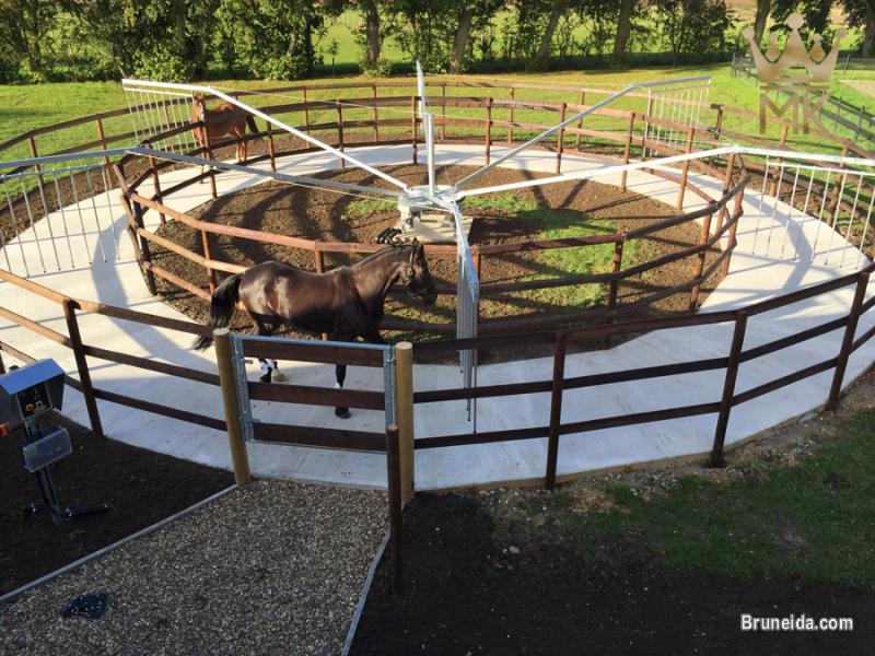 Horsewalker - image 8