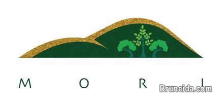 PRODUCTION ASSISTANT AT MORI FARM - image 1