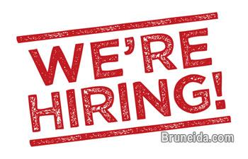 Immediate Vacancy- Cleaner - image 1