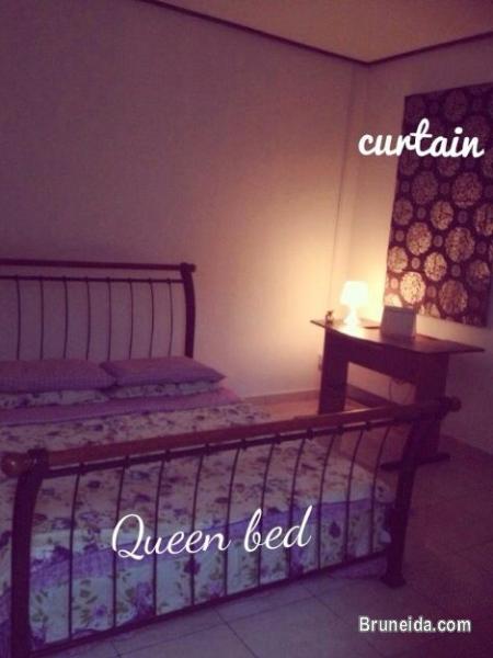 House for rent B$800 monthly - image 1