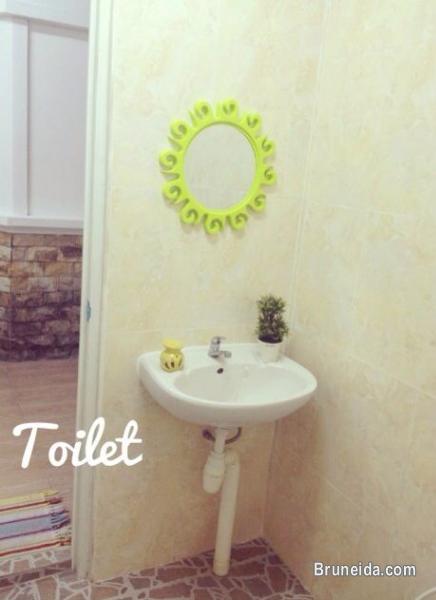 House for rent B$800 monthly - image 6