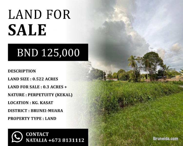 LAND FOR SALE - image 1