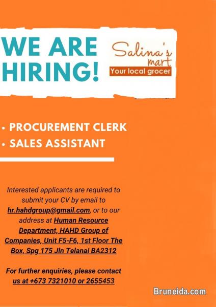 URGENT HIRING FOR PROCUREMENT CLERK / SALES ASSISTANT - image 1