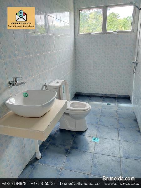 TUNOGLU - 1st Floor $800 Jangsak - image 12