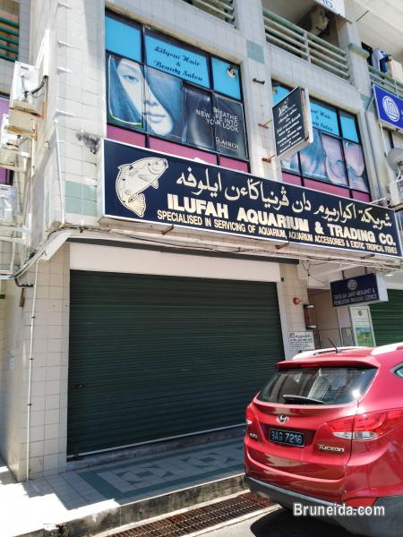 MIA - $2K G Floor Kiulap - image 4