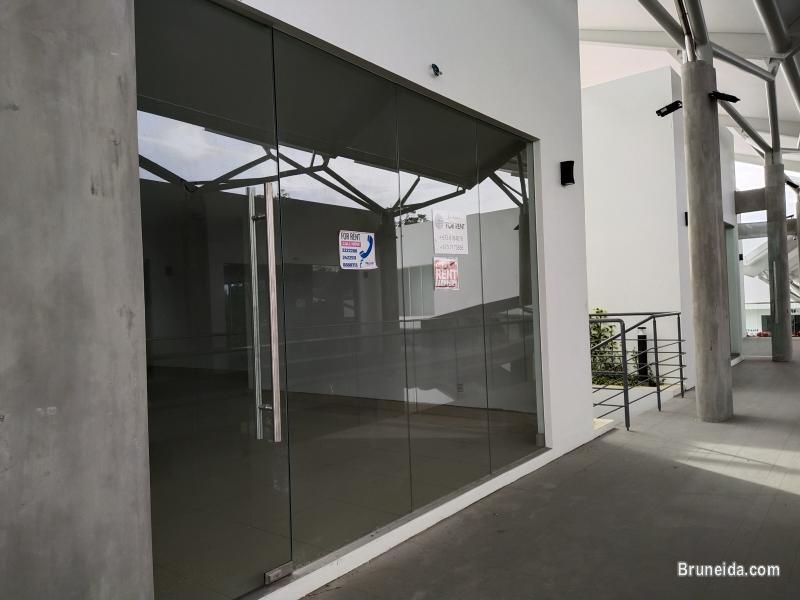 SAM - $800. 00 1st Floor Sg Hancing - image 2