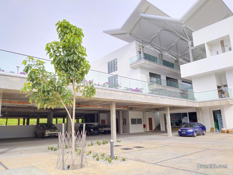 SARA - $2. 3K Lower G Sg Hancing (SOLD) - image 4