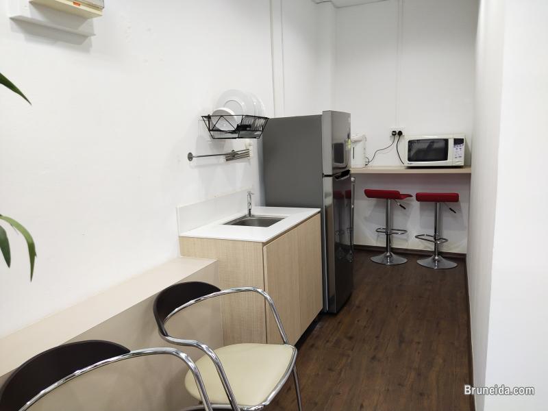 BERNIE - $3K BSB, Brunei - image 2