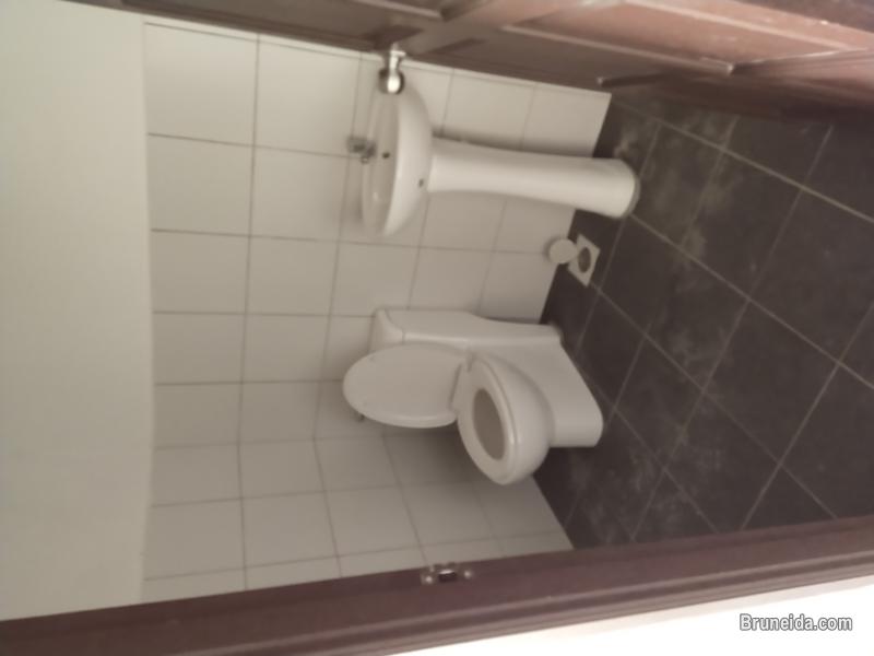 ELLE SPACE 1FA2 - THE WALK - image 7