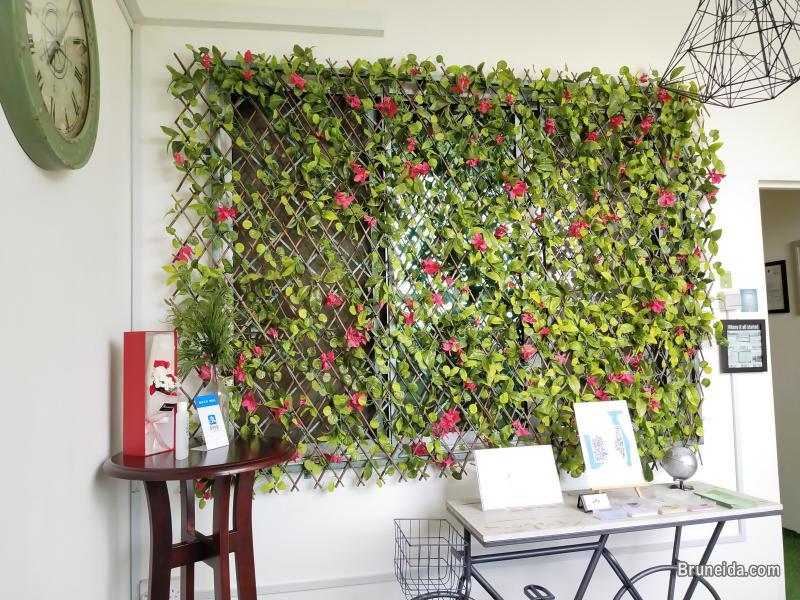 (AVAILABLE) OFFICE GARDEN - OFFICE 6 - image 1