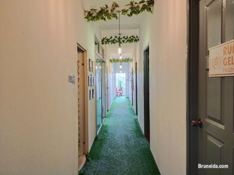 (AVAILABLE) OFFICE GARDEN - OFFICE 6 - image 2