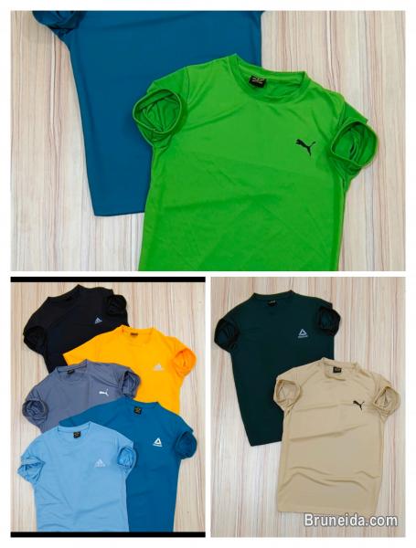 Super quality Dryfit and cotton t-shirts with attractive print - image 1