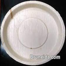 Palm leaf plates biodegradable and eco friendly - image 3