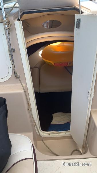 Monterey Montura 235, 7. 4L V8 Mercruiser inboard - image 12