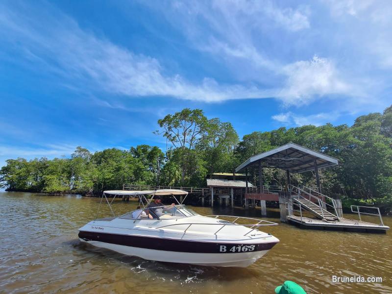 Monterey Montura 235, 7. 4L V8 Mercruiser inboard - image 1