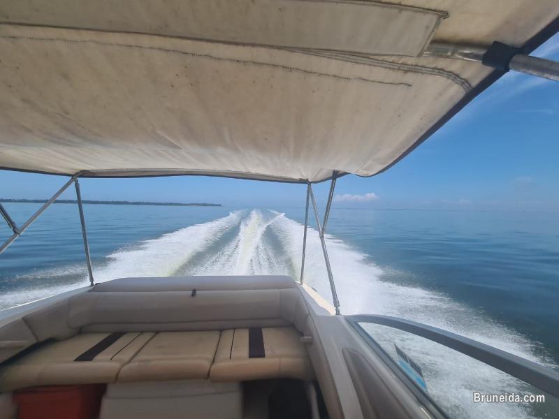 Monterey Montura 235, 7. 4L V8 Mercruiser inboard - image 3