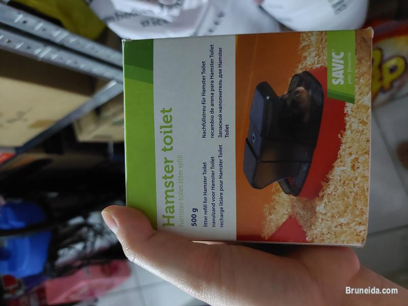 Pet accessories for hamster/ guinea pig - image 1